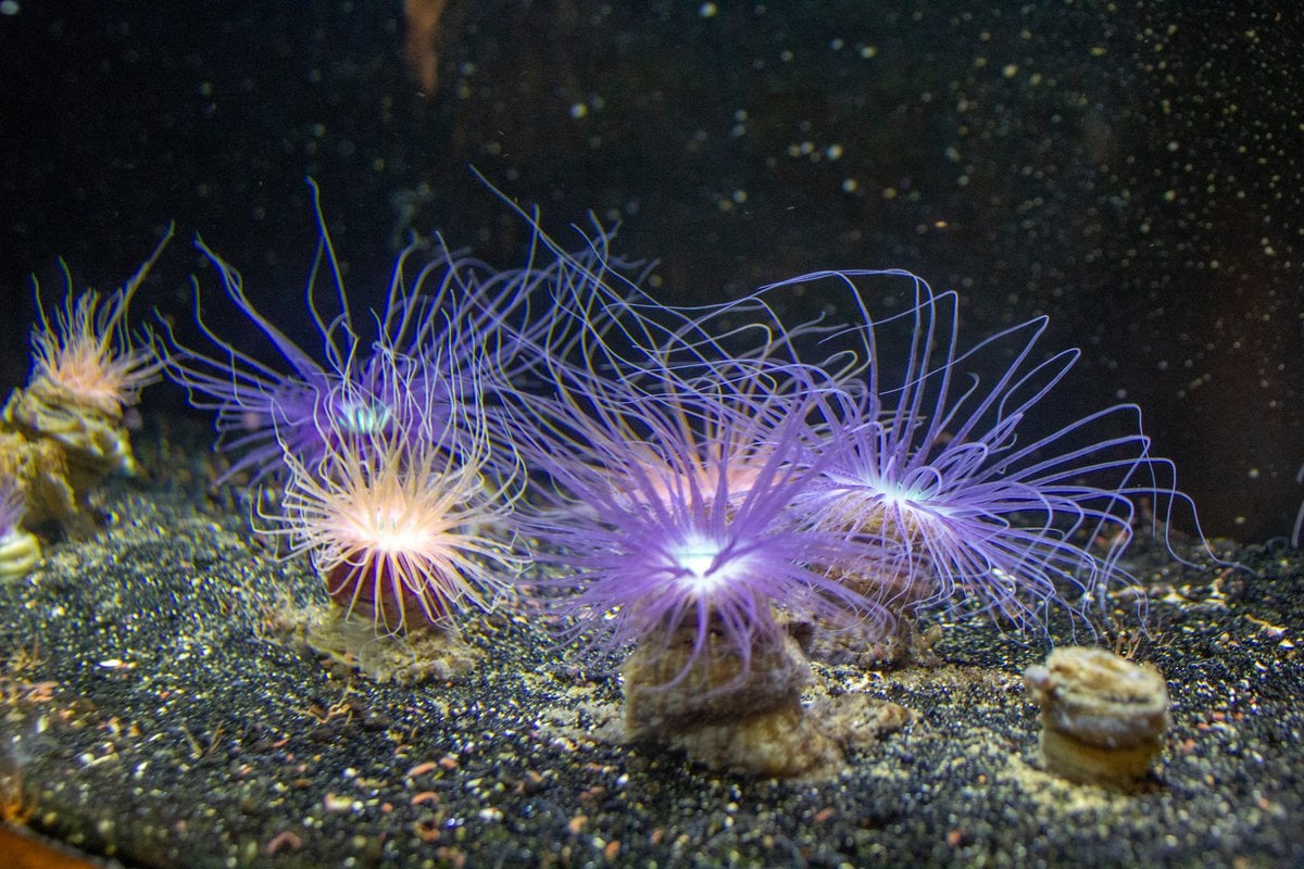 Long Island Aquarium - Gallery Image 1